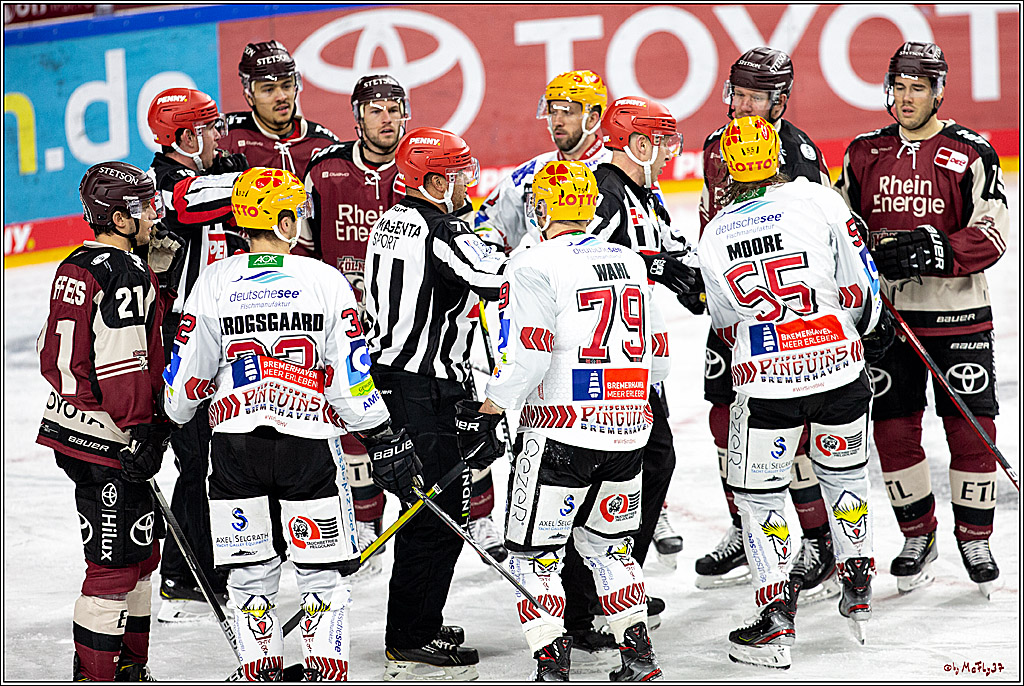 PENNY DEL;  Koelner Haie - Fischtown Pinguins Bremerhaven; Koeln, 12.02.2021